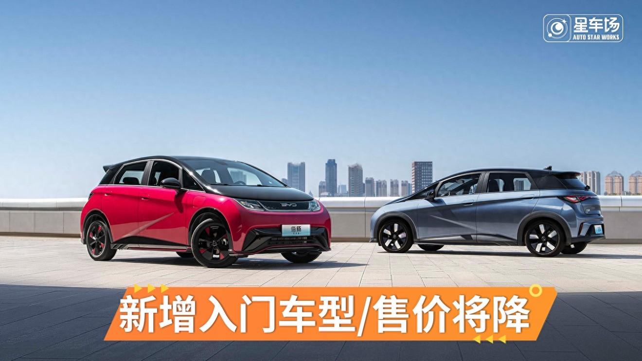 新增入门版车型,海豚荣耀版这是要杀进10万内?
